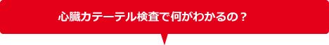 心臓カテーテル検査で何がわかるの?