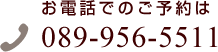 089-956-5511