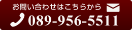089-956-5511